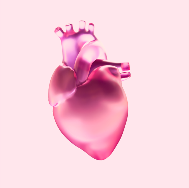 Cardio Adaptability - 1 Year